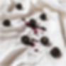 Asset 70_8x.png