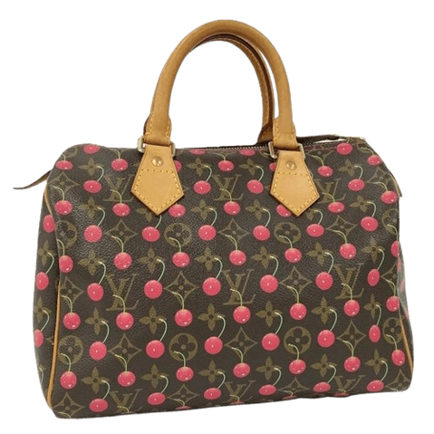 Louis Vuitton Speedy Brown Handbag