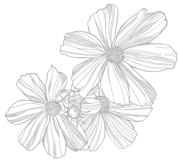 Blüten_edited.png
