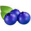 Blackberry.png