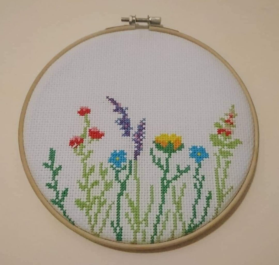 Spring Meadow