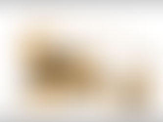 VALIDADE E LIMITE DAS CLÁUSULAS DE PROTEÇÃO DE IMÓVEIS