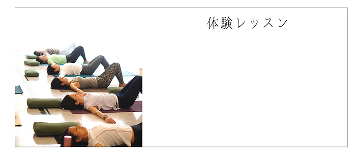 WIX banner-10.png