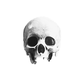 white%25204_edited_edited.png