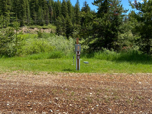 IMG-3975.jpg