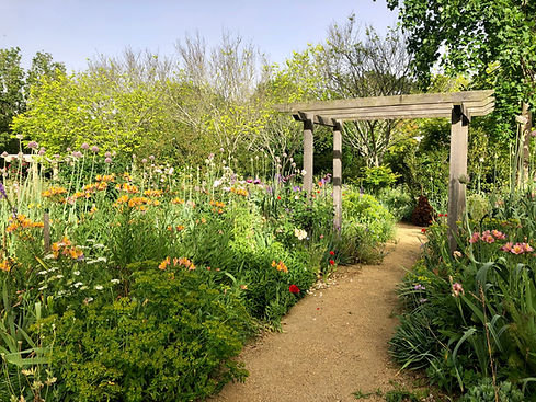 Garden Arch Path.jpeg