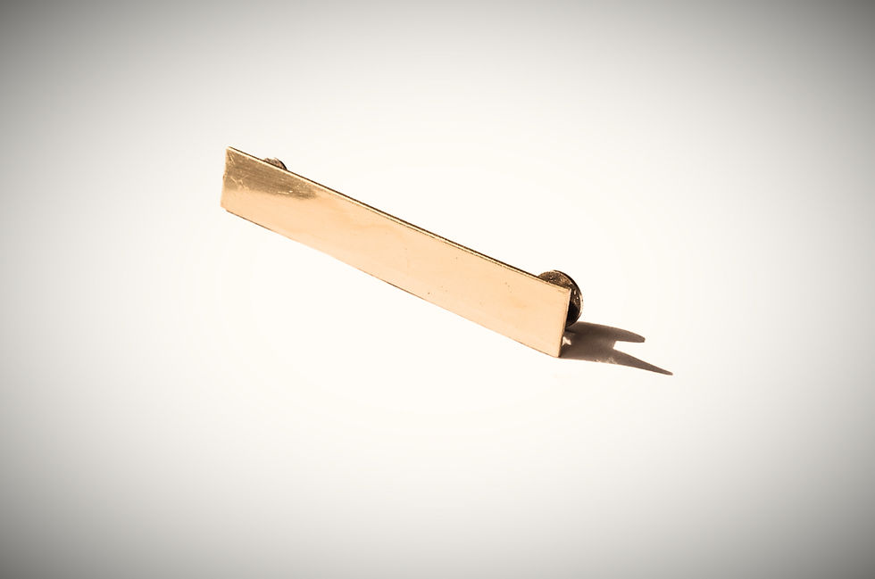 Miniature : Plaque de licol à graver