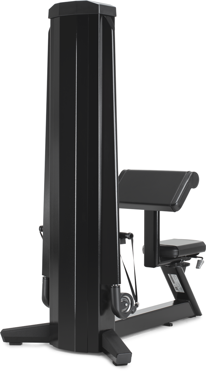 Thumbnail: Freemotion Fitness Biceps-Your key to efficient and targeted biceps exercises for enhanced arm strength.
