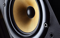 Big Speaker
