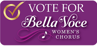 VOTE4BV Button.png