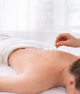 ChatGPT Image Feb 10, 2026 at 11_26_11 AM.png