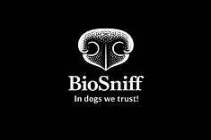 V7 (fondo negro).png