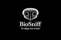 V7 (fondo negro).png