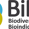 bibio 2.png