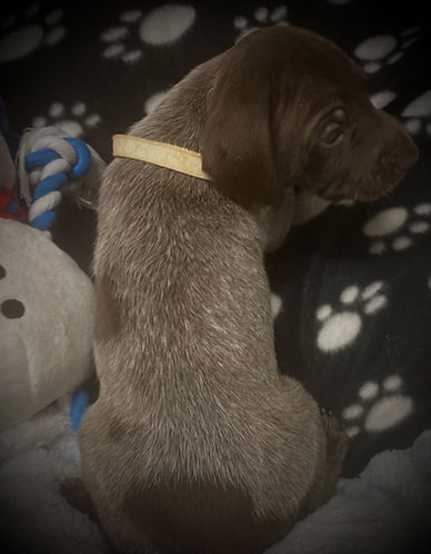 IMG_5369 (1)_edited.jpg