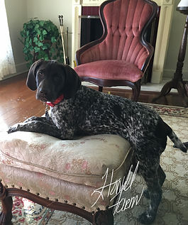 IMG_0539 (1)_edited.jpg