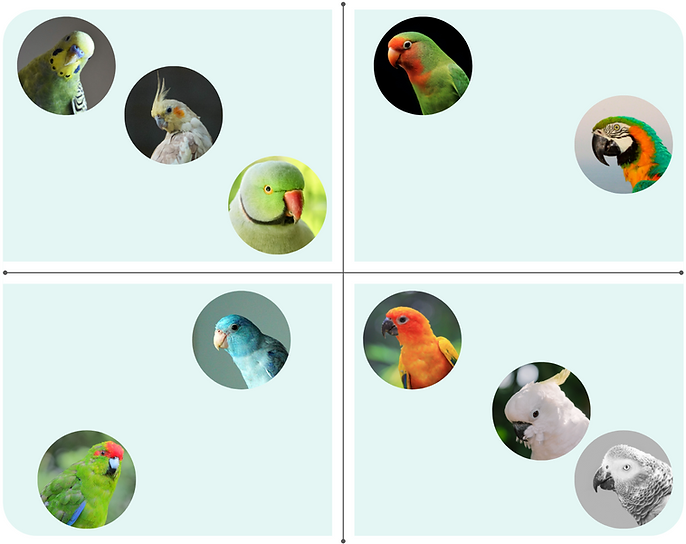 parrot chart.png
