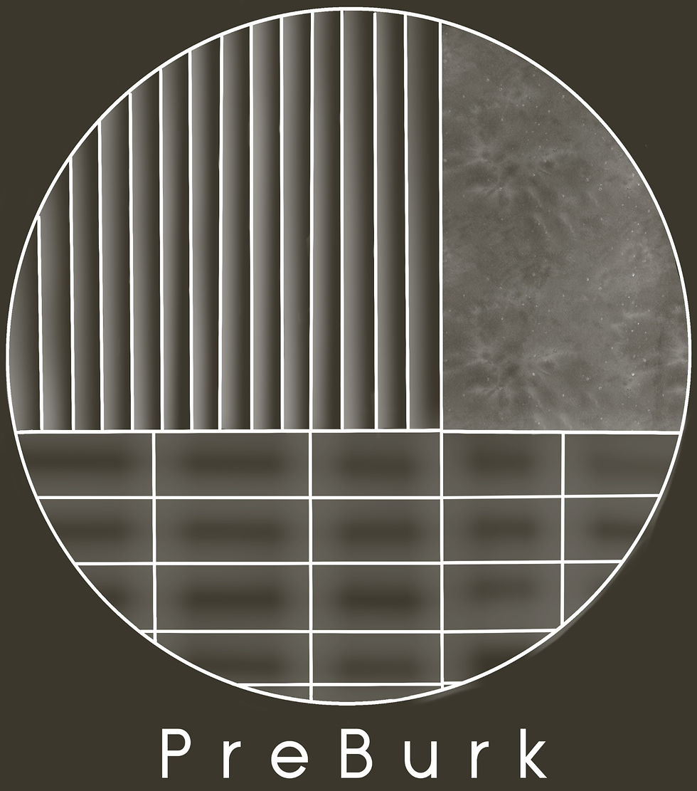 PreBurk_Logo_2_edited.jpg