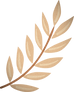 Plant _edited_edited.png