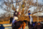 horseball Can Costa