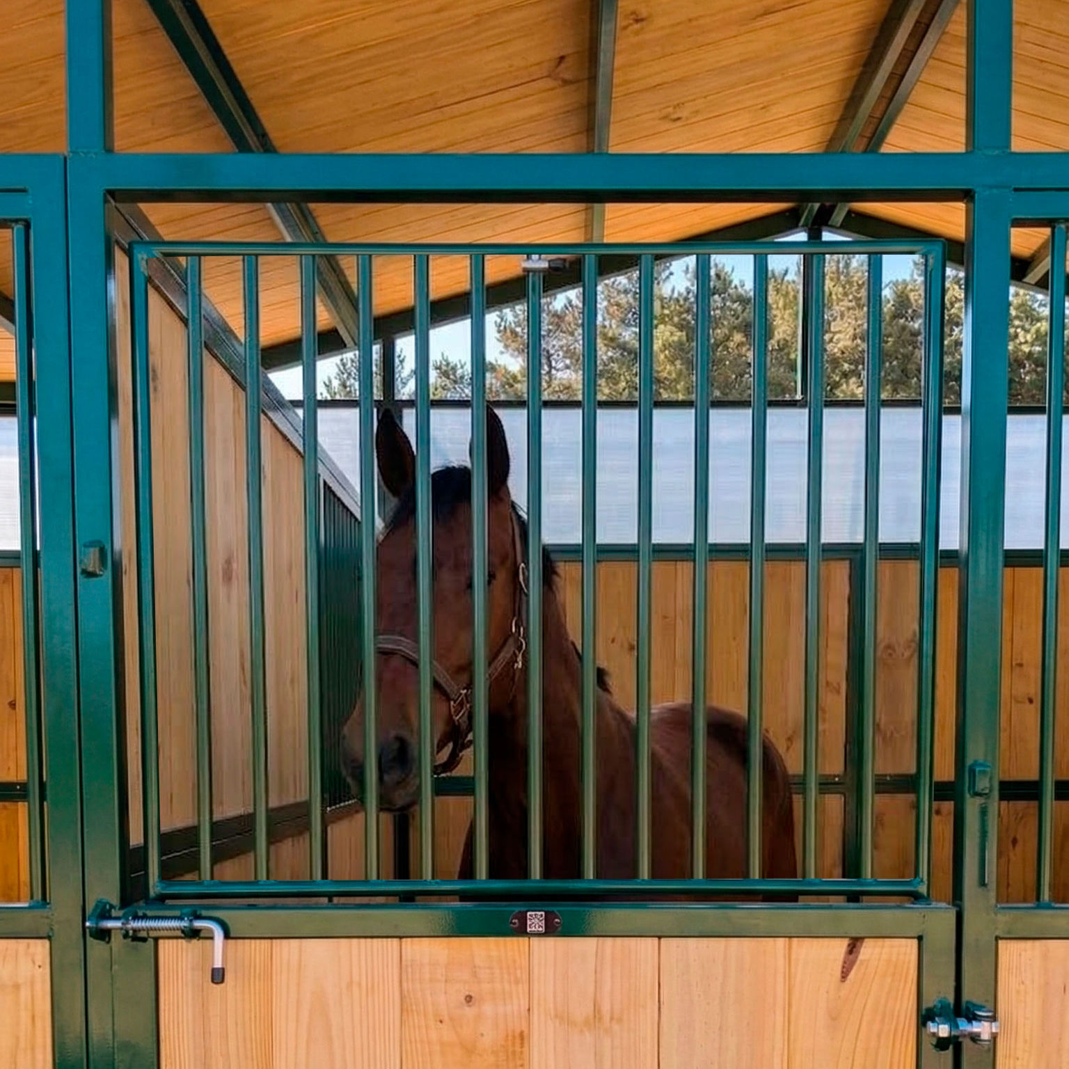 Reja extraíble rectangular AC-WINDOW-REJA-EXTRA-QUAD