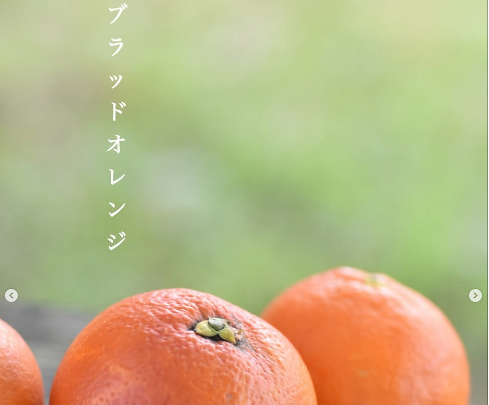 【 ブラッドオレンジ🍊】
