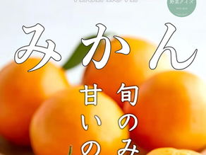 旬のみかんクイズ　　≪甘いのはどっち？🍊≫