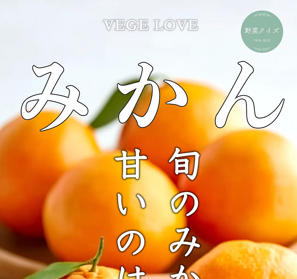 旬のみかんクイズ ≪甘いのはどっち?🍊≫