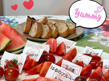【 🍅高知県産ブランドトマトの食べ比べ&タコスパーティー🌮】