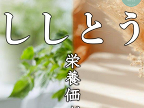 【 夏のししとう vs 秋のししとう 】〜栄養価が高いのはどっち??〜