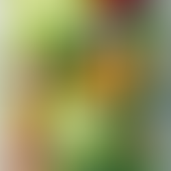 【 難読✨野菜クイズ🥦🥑】