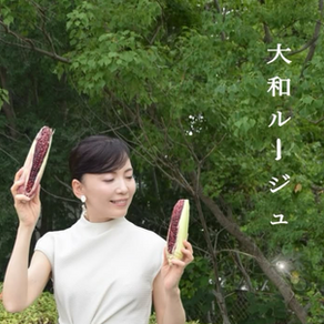 【一粒の種が人と人を繋ぐ🌽❤️「大和ルージュ」に込められた想い】
