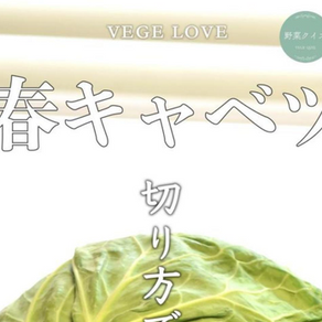 【 春キャベツ ✨🥬】