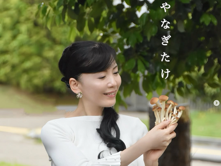 【シャキッ!コリッ!驚きの“やなぎまつたけ”🍄】