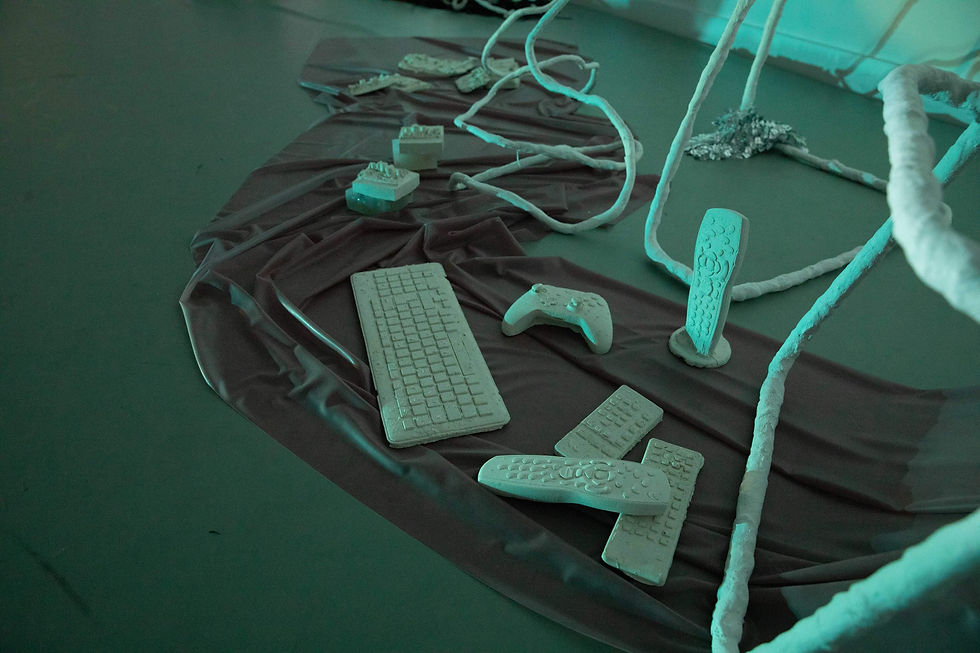 Laura Rouzet _Under a Digital Lake_