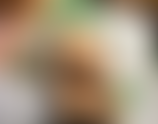 21/09/2025 Macarons chocolat LionelPatiss