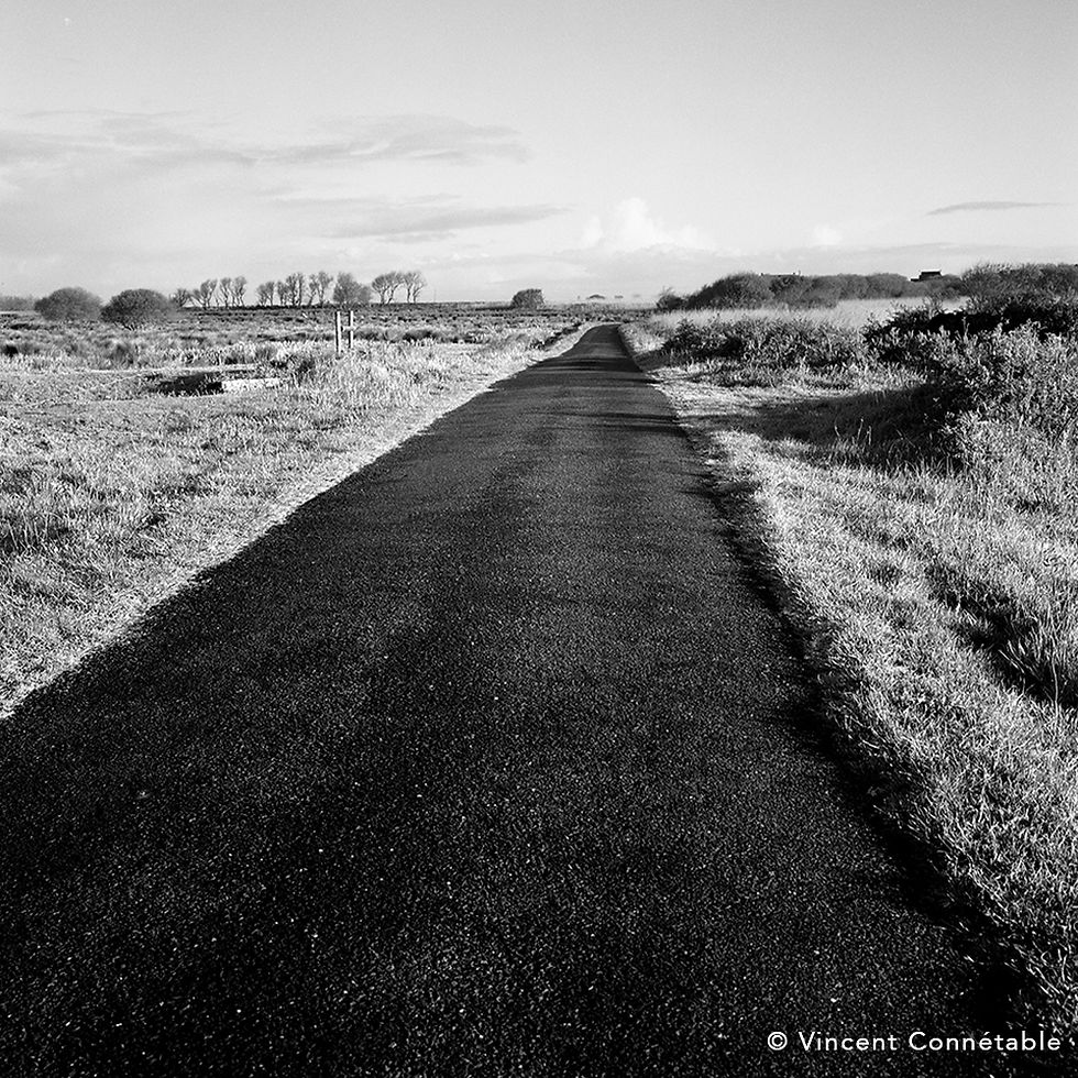 © Vincent Connétable
