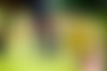 Frühjahrs-Fellwechselkur für dein Pferd Unterstützung beim Fellwechsel