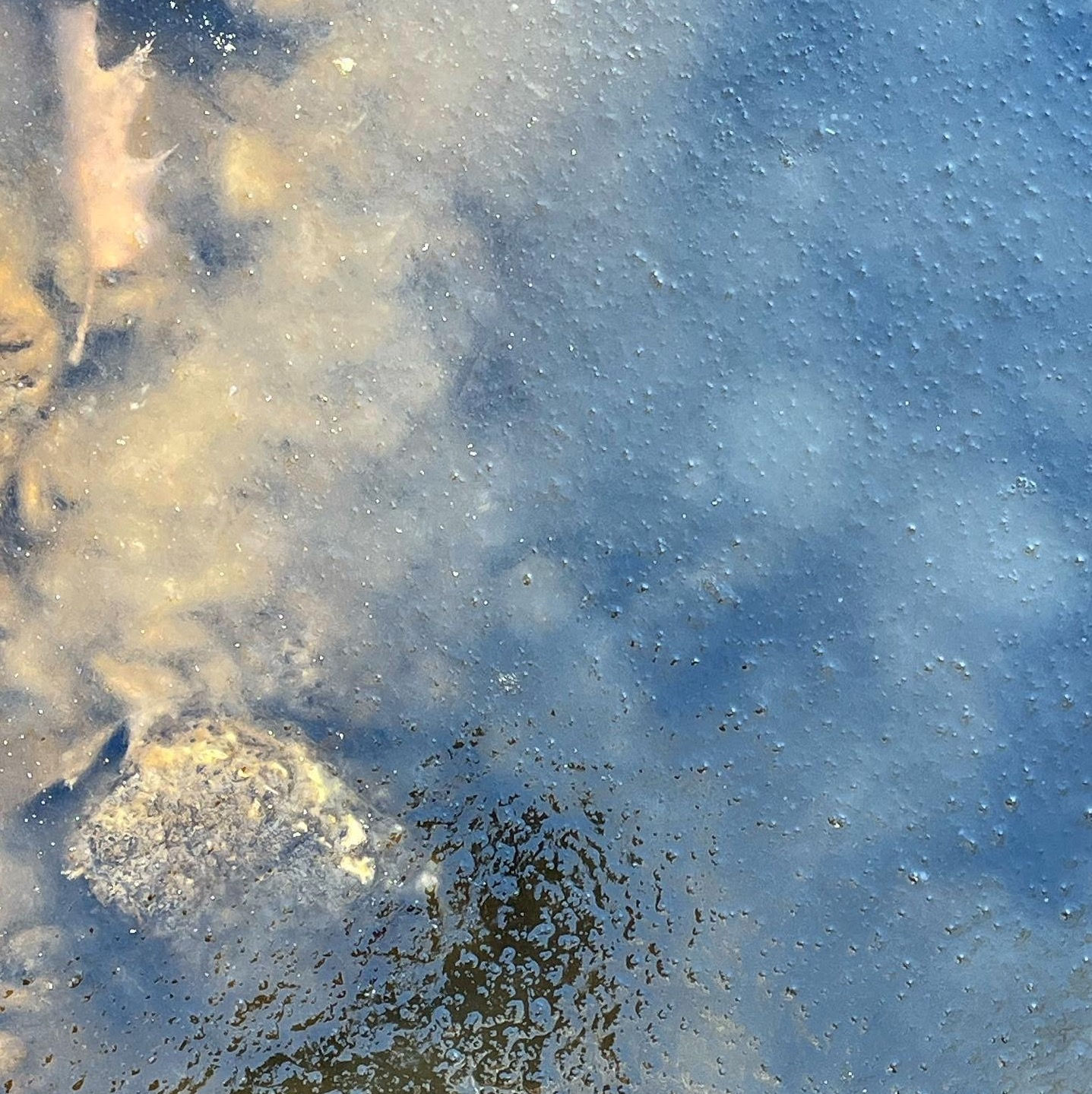 Ice Visions – Lurking