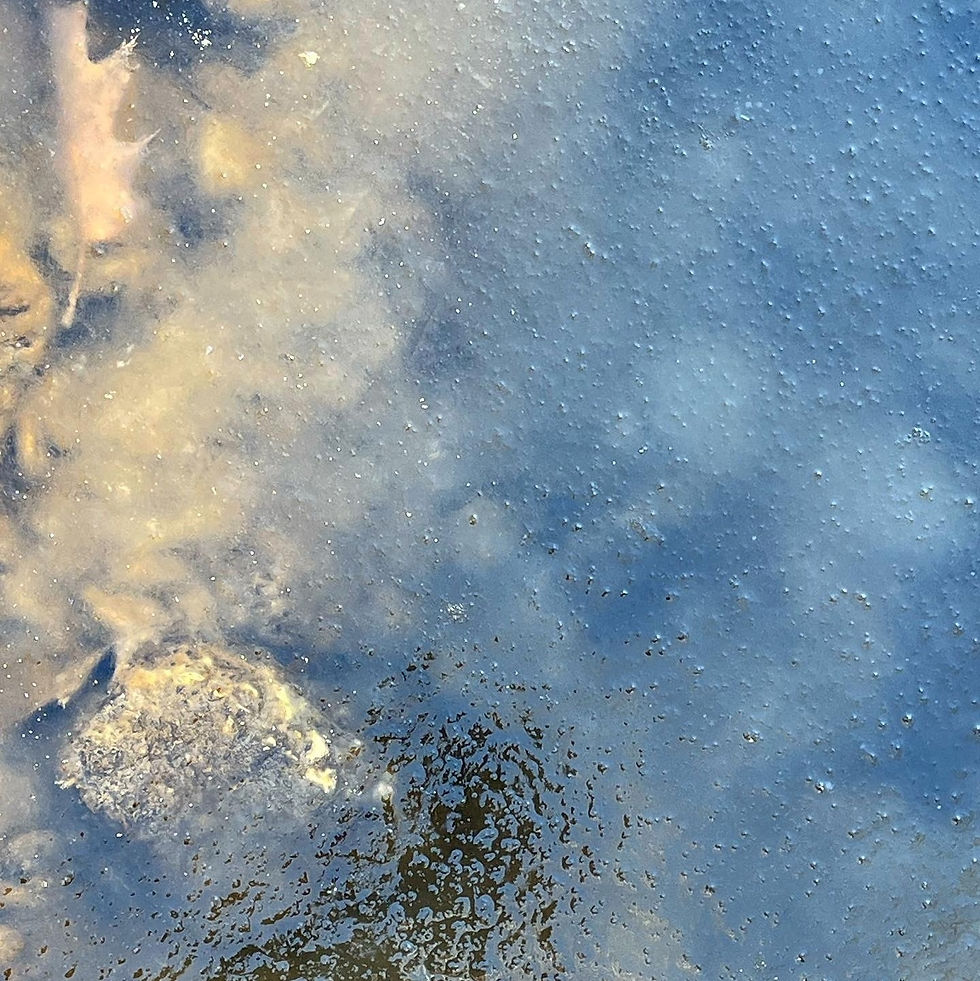 Ice Visions – Lurking