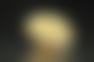 禽流感處理策略及因應措施之我見