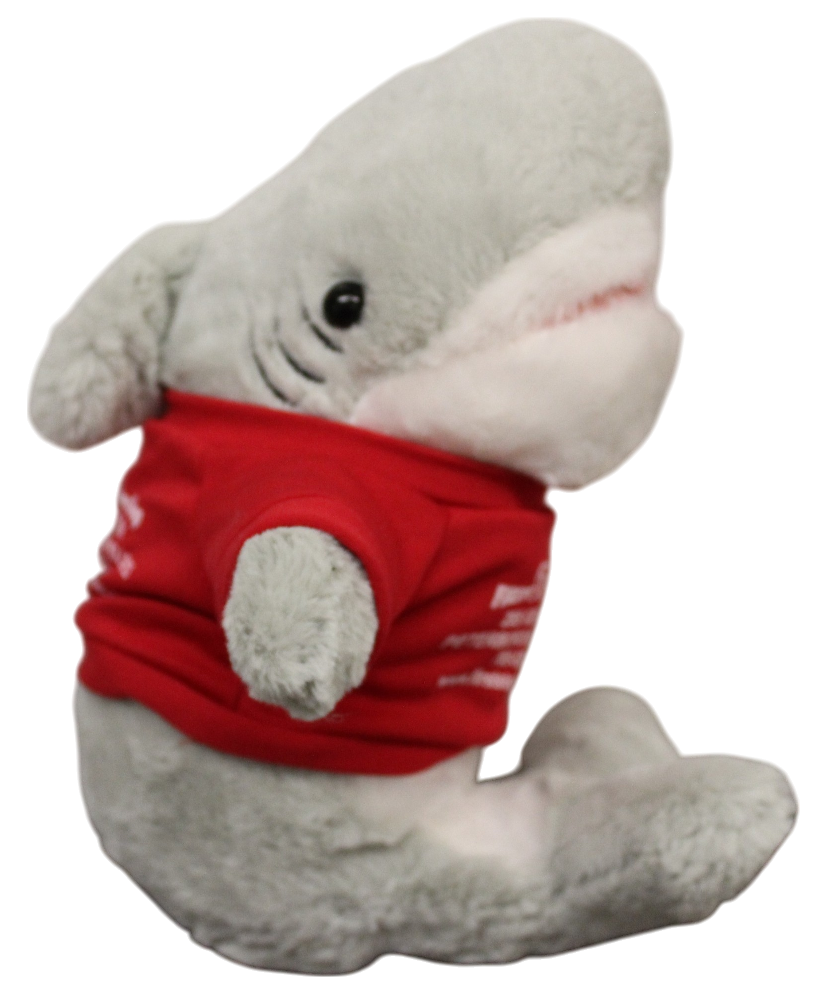 Writer: Loany The Shark!