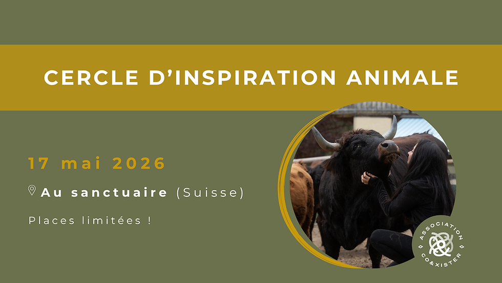 Cercle d'inspiration animale