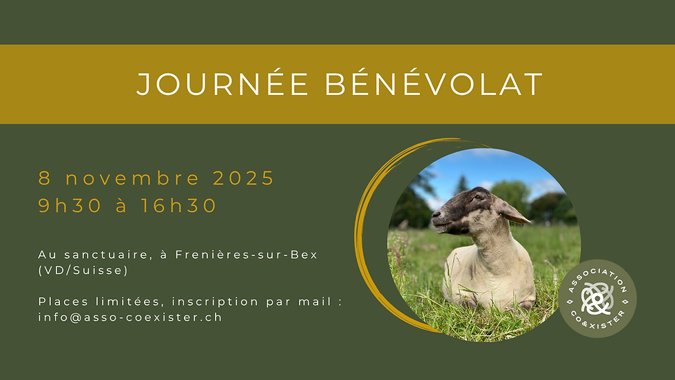 COMPLET - Journée bénévolat