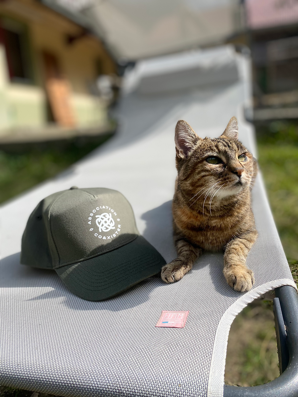 Miniature : Casquette Co&xister