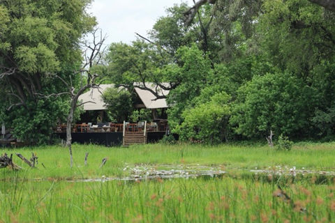 A safari lodge peeking out behind a canopy of lush greenery