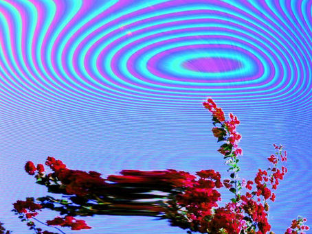 Album Review: Friendly Fires - 'Inflorescent'