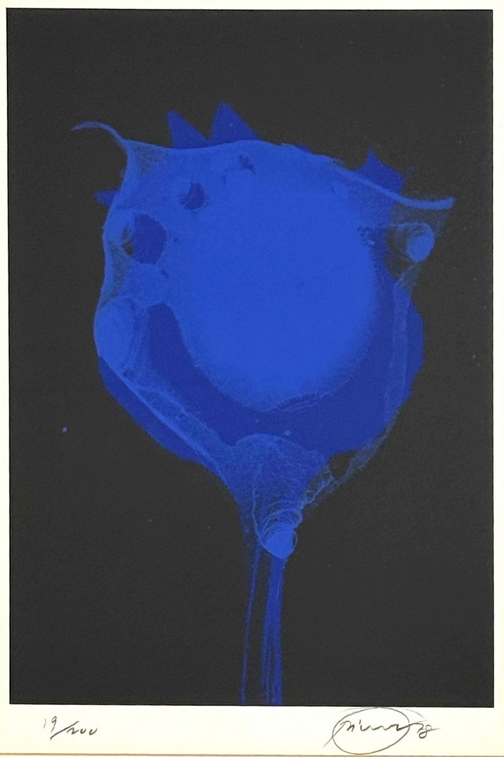 Miniaturbild: Otto Piene, Blue Poppy (Schwarz), 1978