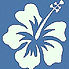 Hawaiian Flower_edited_edited_edited_edi