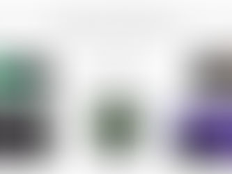 Dr. Yildirim gave an invited talk at the Mayo Clinic Science of Medicine Ground Rounds